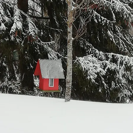 Koskikorento * Kannus