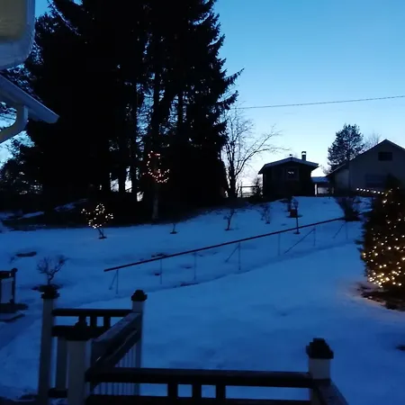 Koskikorento