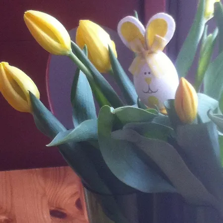 Koskikorento * Kannus