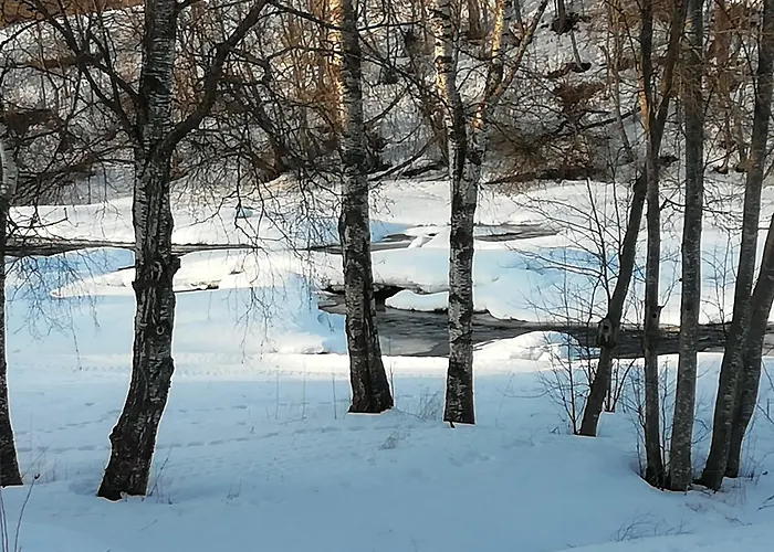 Villa Koskikorento Kannus