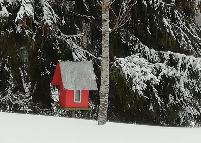 Koskikorento * Kannus